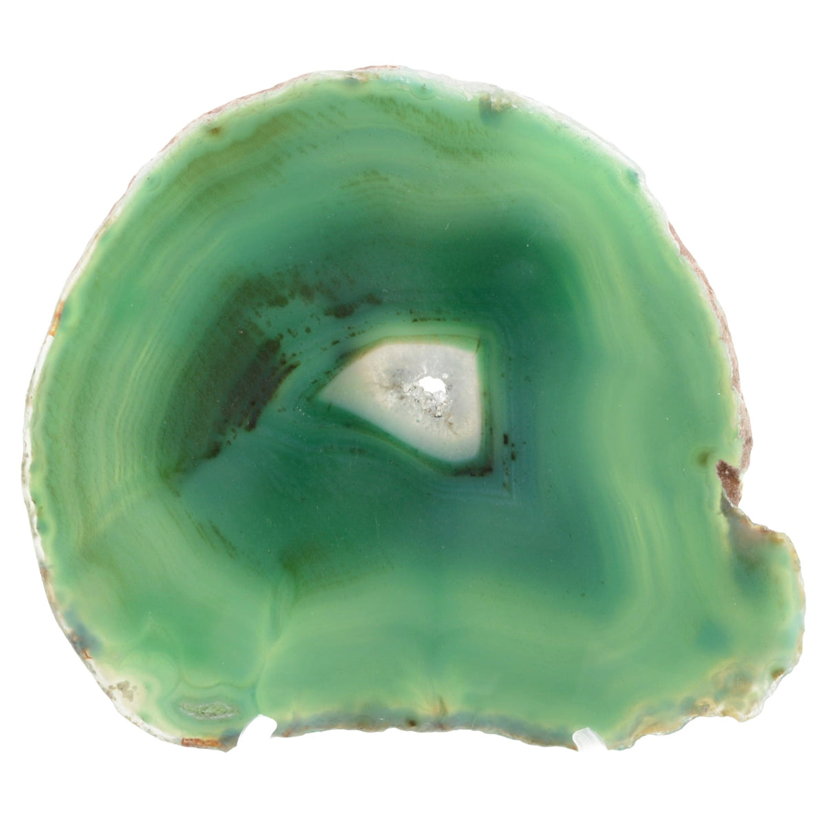 A polished slice of green agate stone with natural banding and a small white inclusions core, shown on a plain white background.