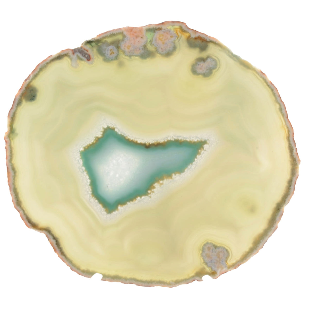 A polished slice of agate with a pale yellow-green outer band, a central teal-blue cavity, and subtle pink and gray crystalline inclusions near the edge, shown on a plain white background.