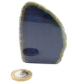 A polished natural agate with a deep blue-gray interior and a rough, textured light greenish-beige outer rind, shown on a white background with a coin below for scale.