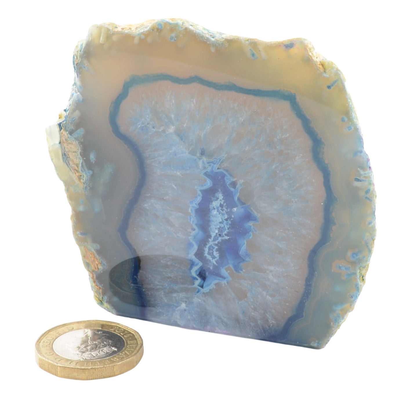 A polished agate geode with concentric bands of pale blue, white, and translucent beige, shown on a white background with a coin for scale.