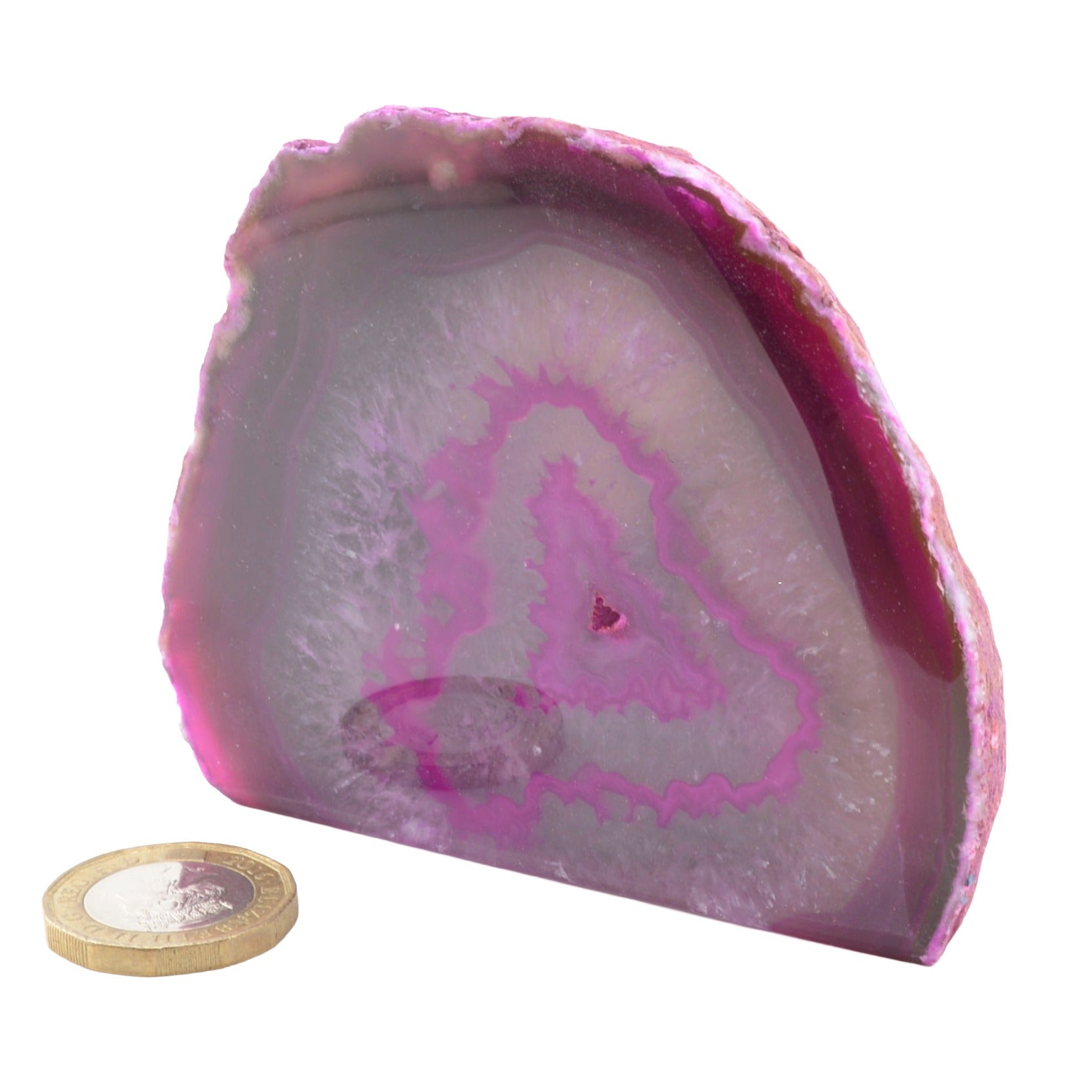 A polished pink agate geode with concentric banding, shown on a white background with a small coin for scale.