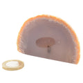A polished semi-circular agate stone nodule with a frosted lavender-gray center and bright orange crystalline edges, shown on a white background with a small coin for scale.