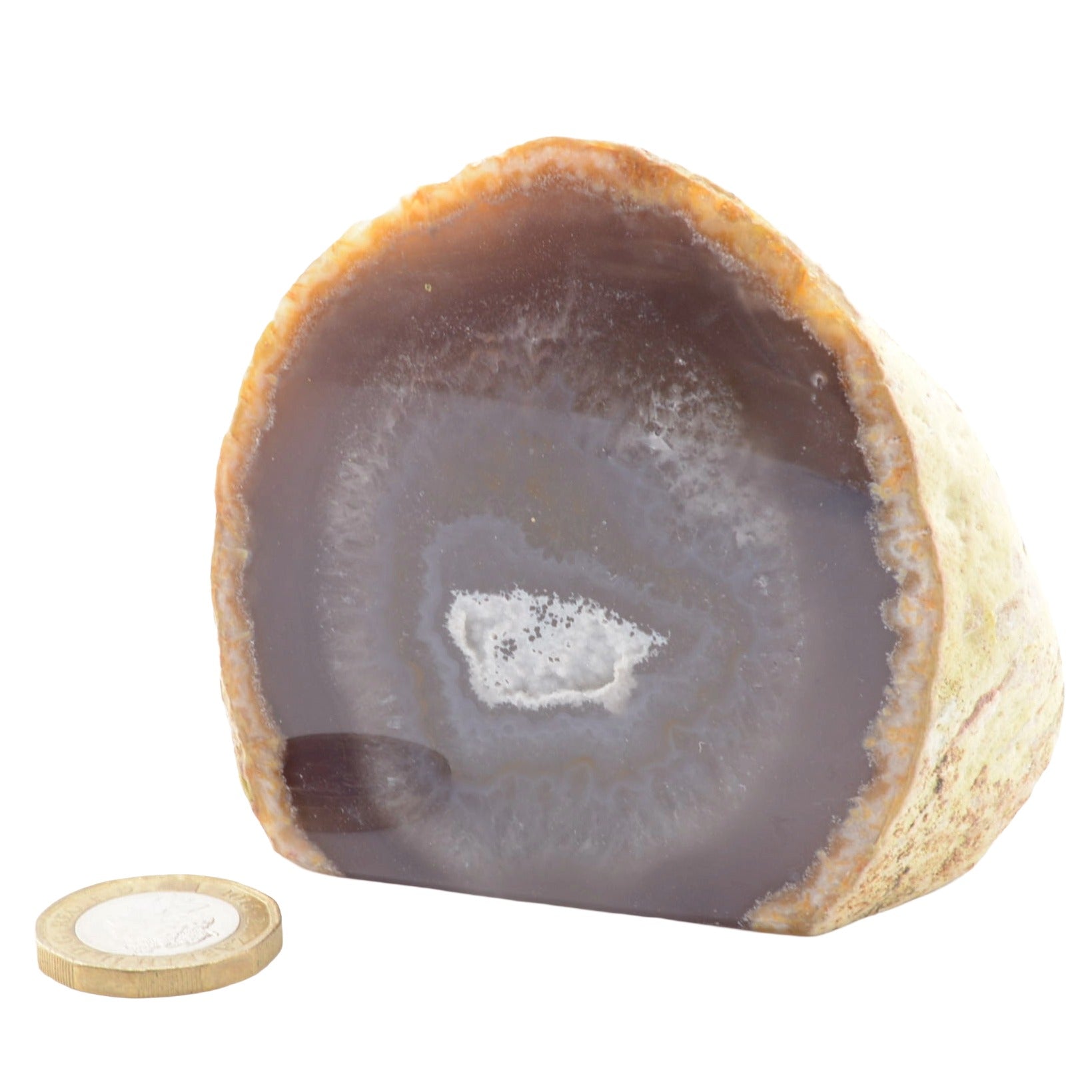 A polished geode showing concentric layers of gray, brown, and white crystalline material, with a small round wooden scale piece placed in front on a white background.