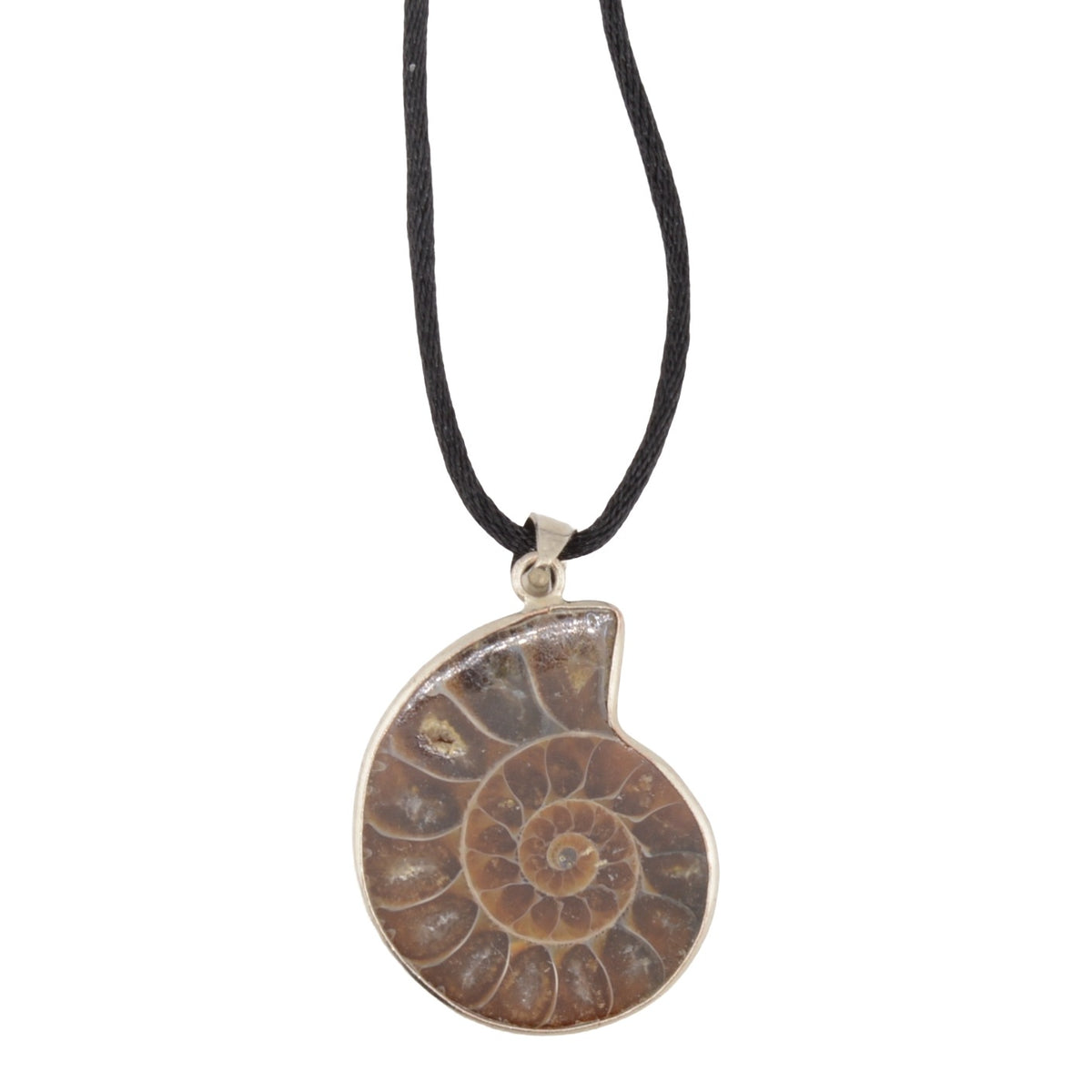 A spiral ammonite fossil pendant necklace on a black cord with a silver-toned metal setting, shown against a plain white background.