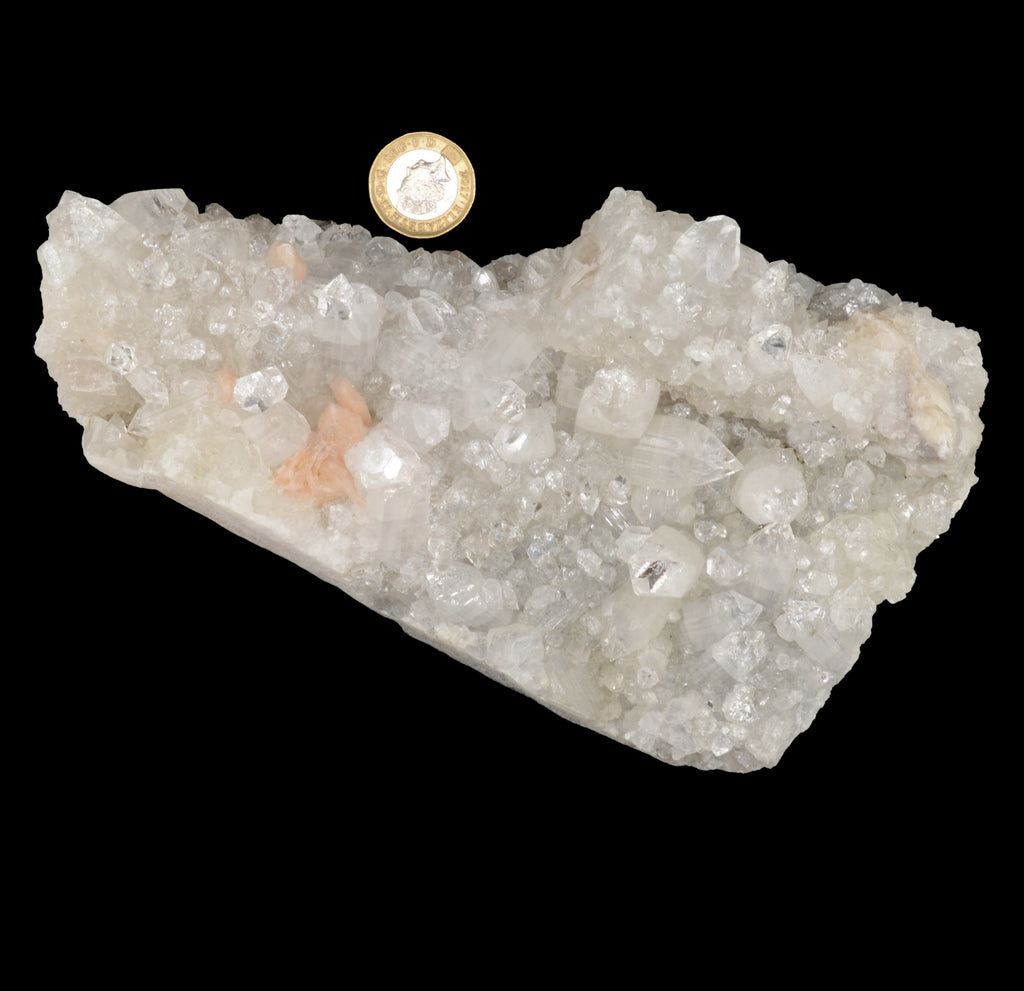 A raw mineral specimen with clustered Apophyllite and stilbite on a black background, with a small gold coin placed above it for scale.