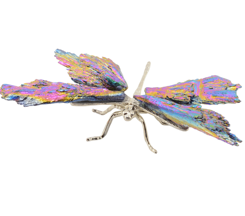 A metallic dragonfly body with iridescent, rainbow-colored aura kyanite wings and a silver body, shown against a plain white background.