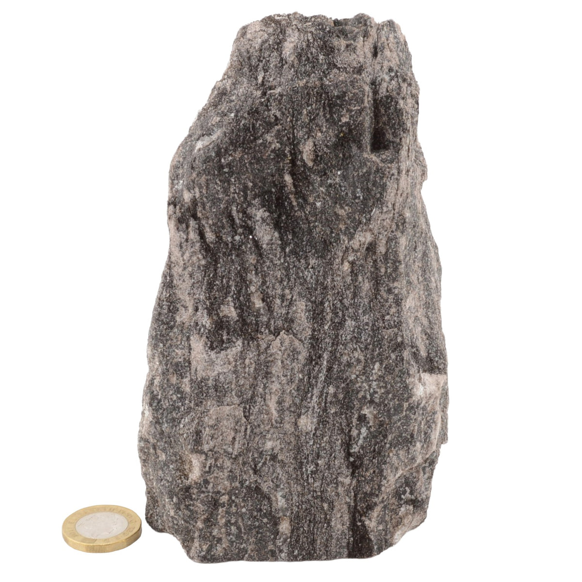 A rough, natural black micaspecimen with a rough, porous texture, shown next to a gold-colored coin for scale on a plain white background.