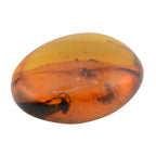 Burmese Cretaceous Amber - UV Reactive