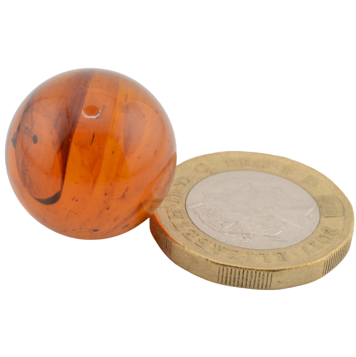 Burmese Cretaceous Amber - UV Reactive