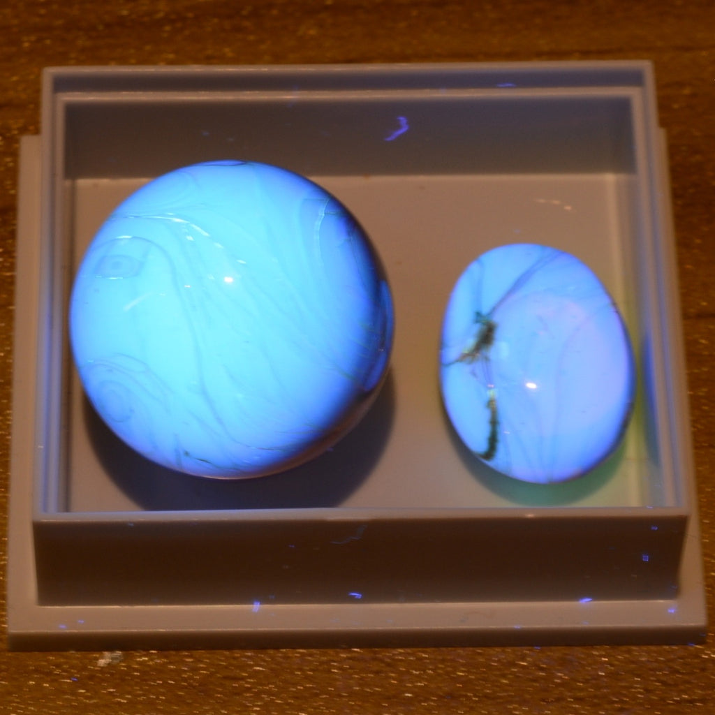 Burmese Cretaceous Amber - UV Reactive