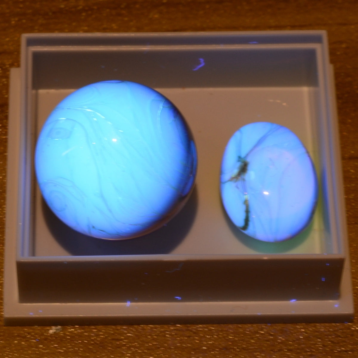 Burmese Cretaceous Amber - UV Reactive