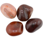 Four polished carnelian tumbled gemstones in earthy brown, reddish-brown, and peach-orange tones, arranged on a plain white background.