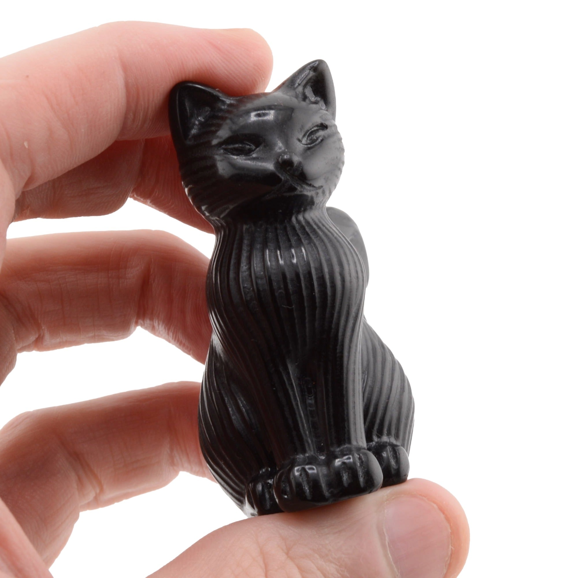 A small black cat figurine with a glossy, ribbed texture, held between a person's fingers against a plain white background.