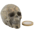A 5cm Pyrite carved skull-shaped object with a textured, aged gold finish, shown next to a round coin for scale on a plain white background.