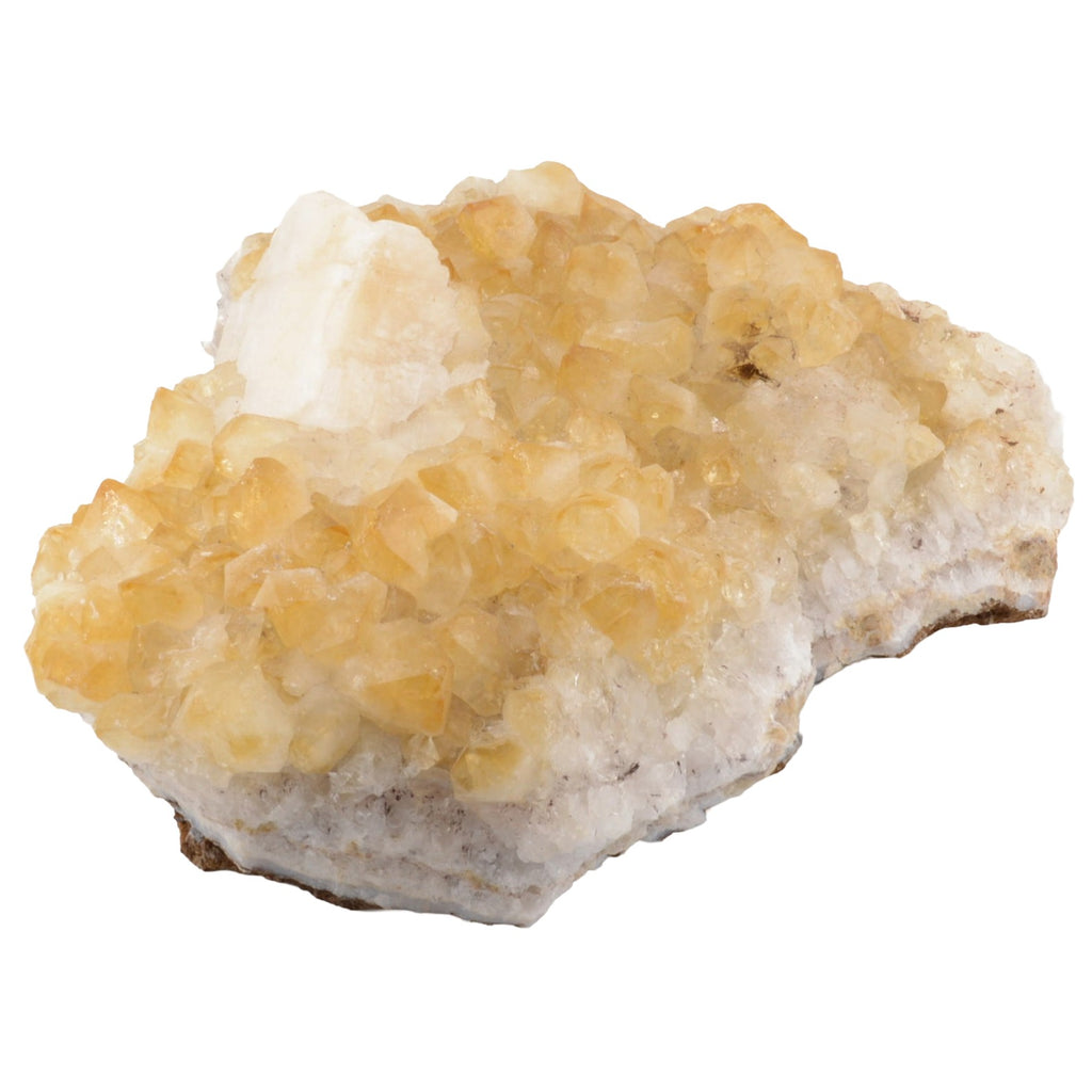 A raw citrine crystal cluster specimen featuring pale yellow citrine crystals on a white quartz matrix, isolated on a solid white background.