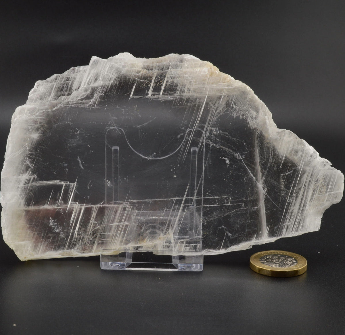 Clear Transparent See through Selenite Slice on a black background with a coin for scale