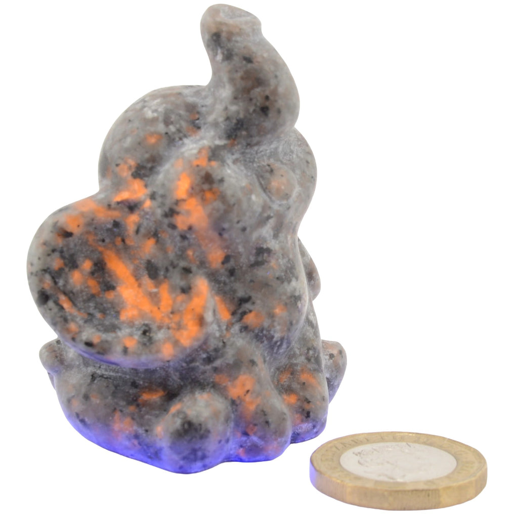 A small carved gemstone elephant figurine with a gray and black speckled surface. Showing it fluoresce bright orange under UV light, shown on a white background next to a coin for scale.