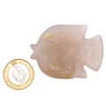 Fish Druzy Agate Gemstone Carving - 5cm