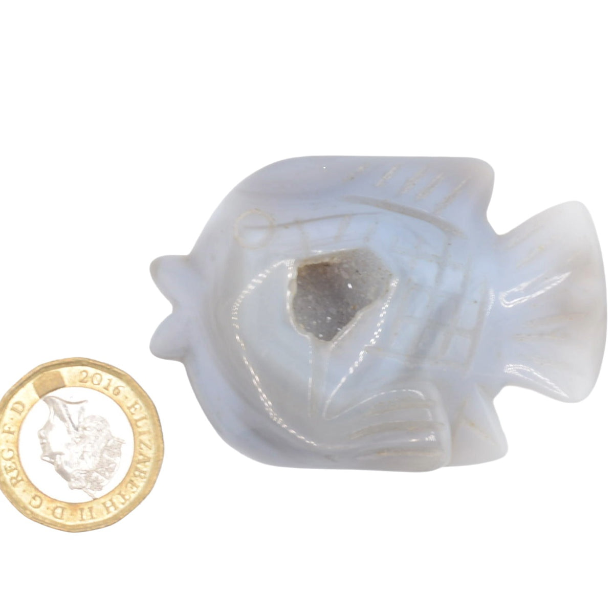Fish Druzy Agate Gemstone Carving - 5cm