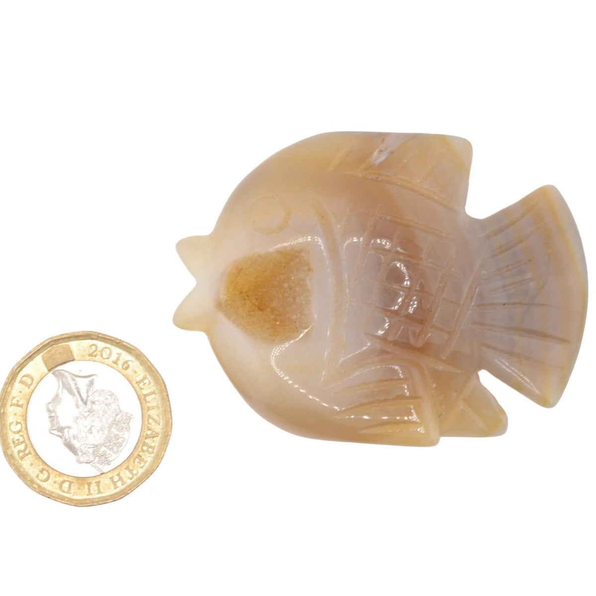 Fish Druzy Agate Gemstone Carving - 5cm