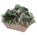 A natural fluorite crystal cluster with green and dark teal transparent cubes growing on a tan matrix, photographed against a plain white background.