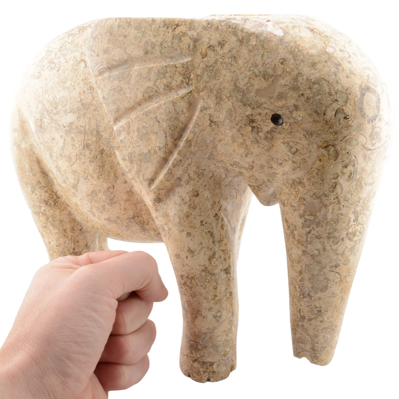 30cm Fossil Stone Elephant