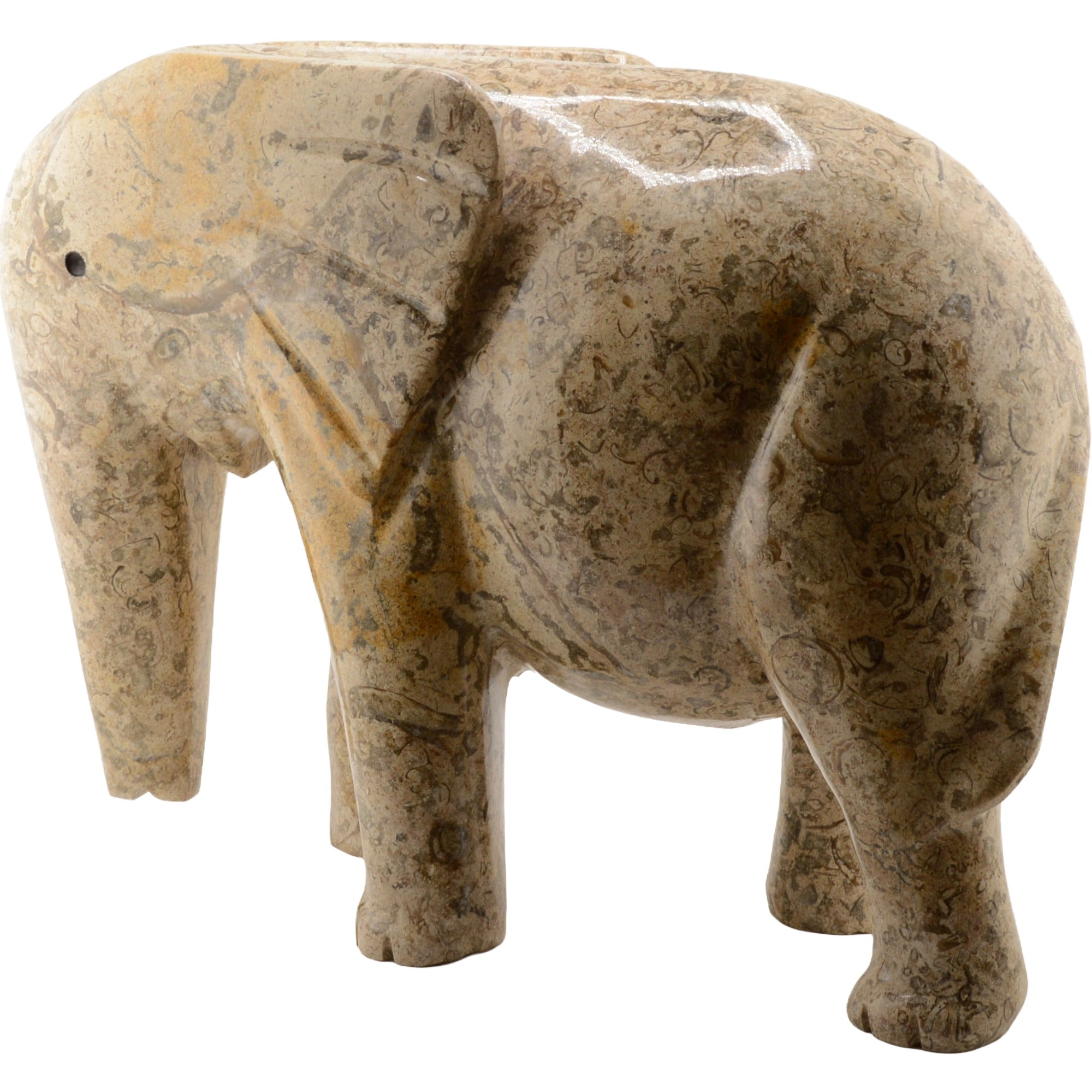 30cm Fossil Stone Elephant