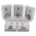 Five clear acrylic display boxes with printed labels, each containing a small tumbled dinosaur poo fossil coprolite, arranged on a white background.