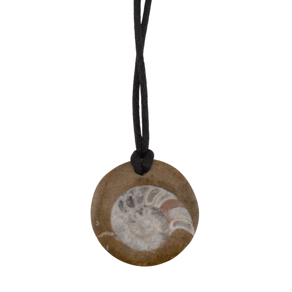 Goniatite fossil pendant on black cord pictured on a white background