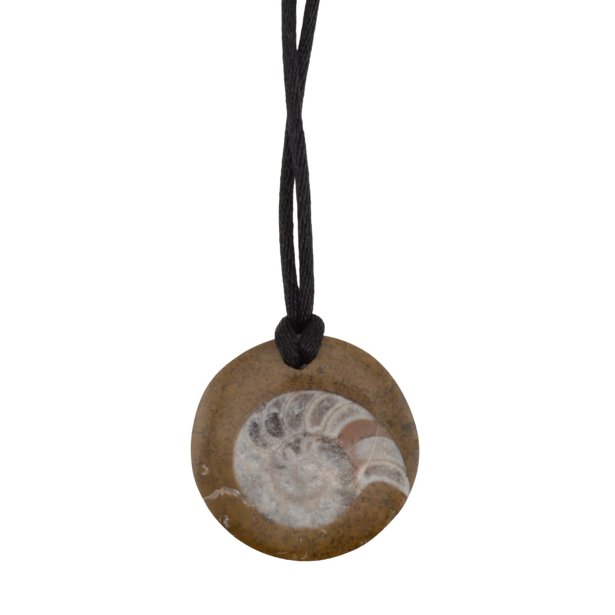 Goniatite fossil pendant on black cord pictured on a white background