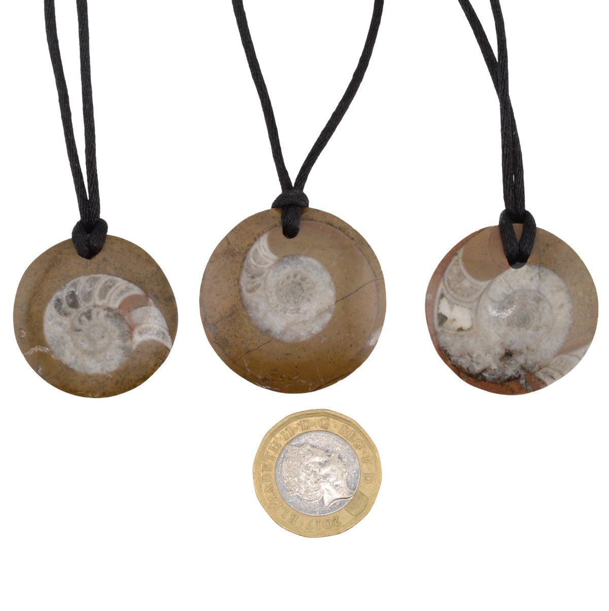 Goniatite Fossil Pendant