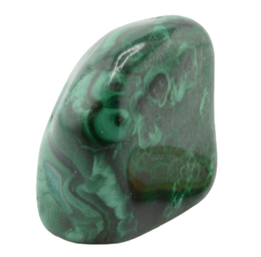 A polished green malachite stone with natural swirling patterns, shown on a plain white background.