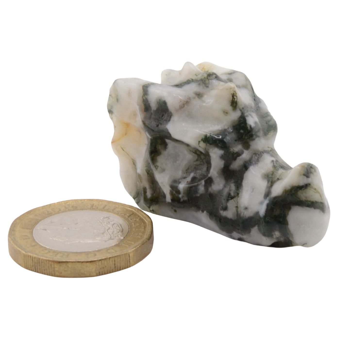 A polished moss agate dragon skull carving with marbled white, dark green, and beige patterns, shown next to a gold coin for scale on a plain white background.