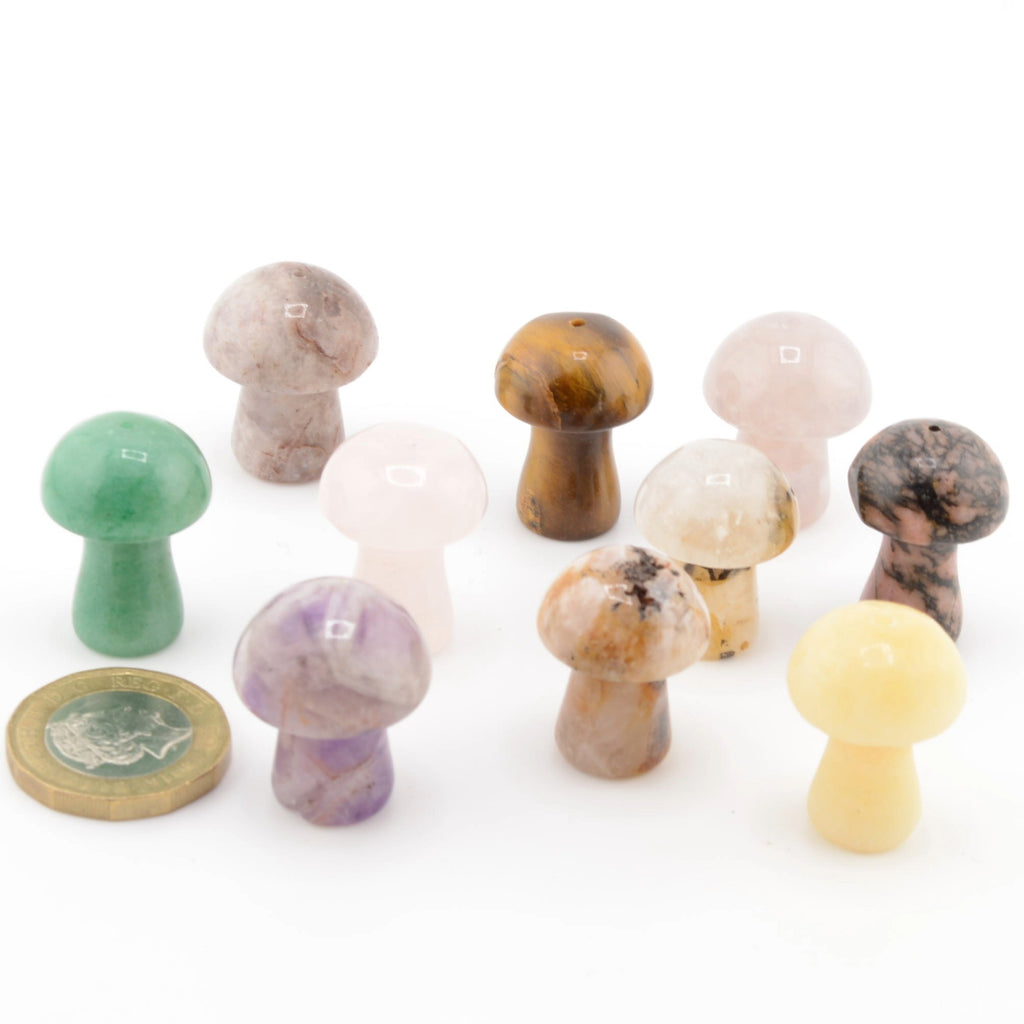 Mushroom Assorted Gemstone Carvings - Approx 25mm