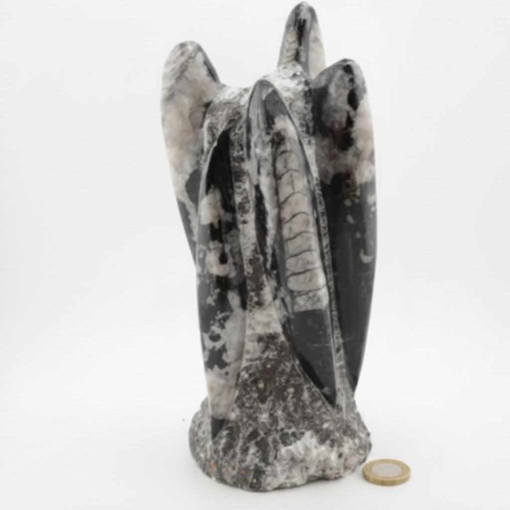 Large 230mm Orthoceras Fossil Sculpture on a white background