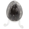 A polished black Orthoceras egg featuring natural white and gray patterns, displayed on a clear acrylic stand against a white background.