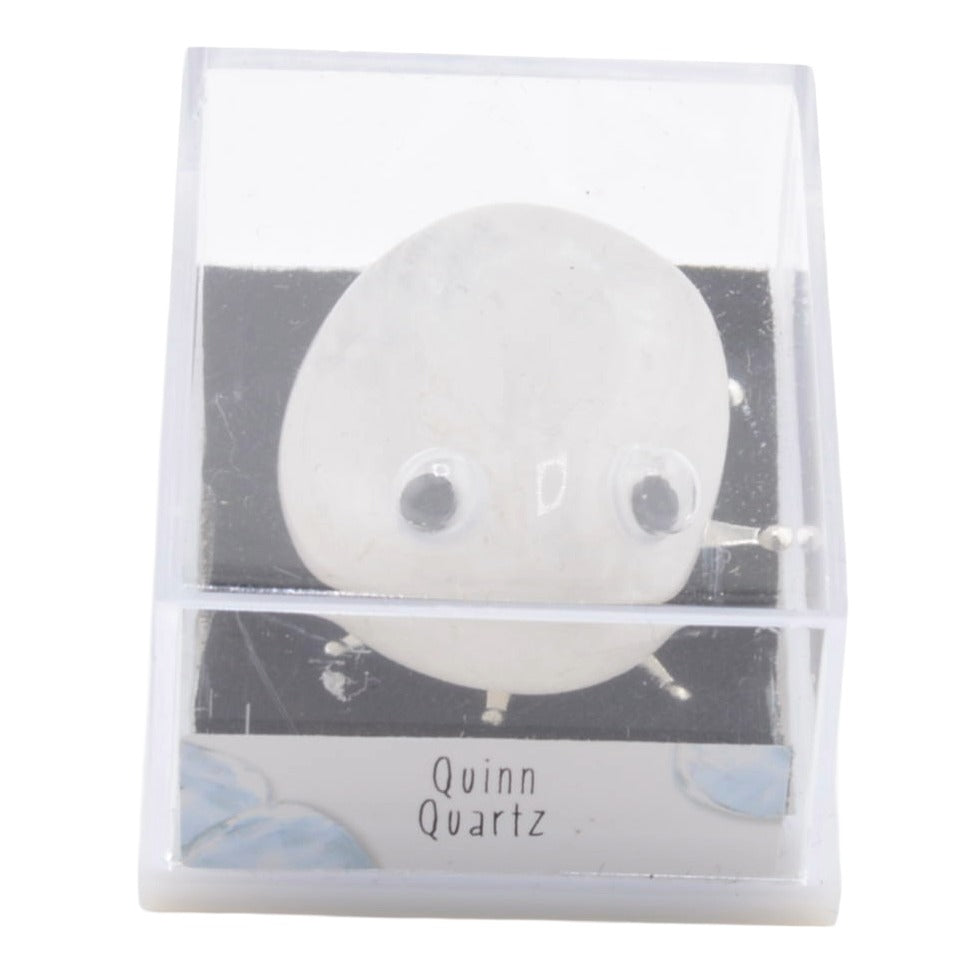 Gem Bug Tumble Stone Fun Creature in Display Case