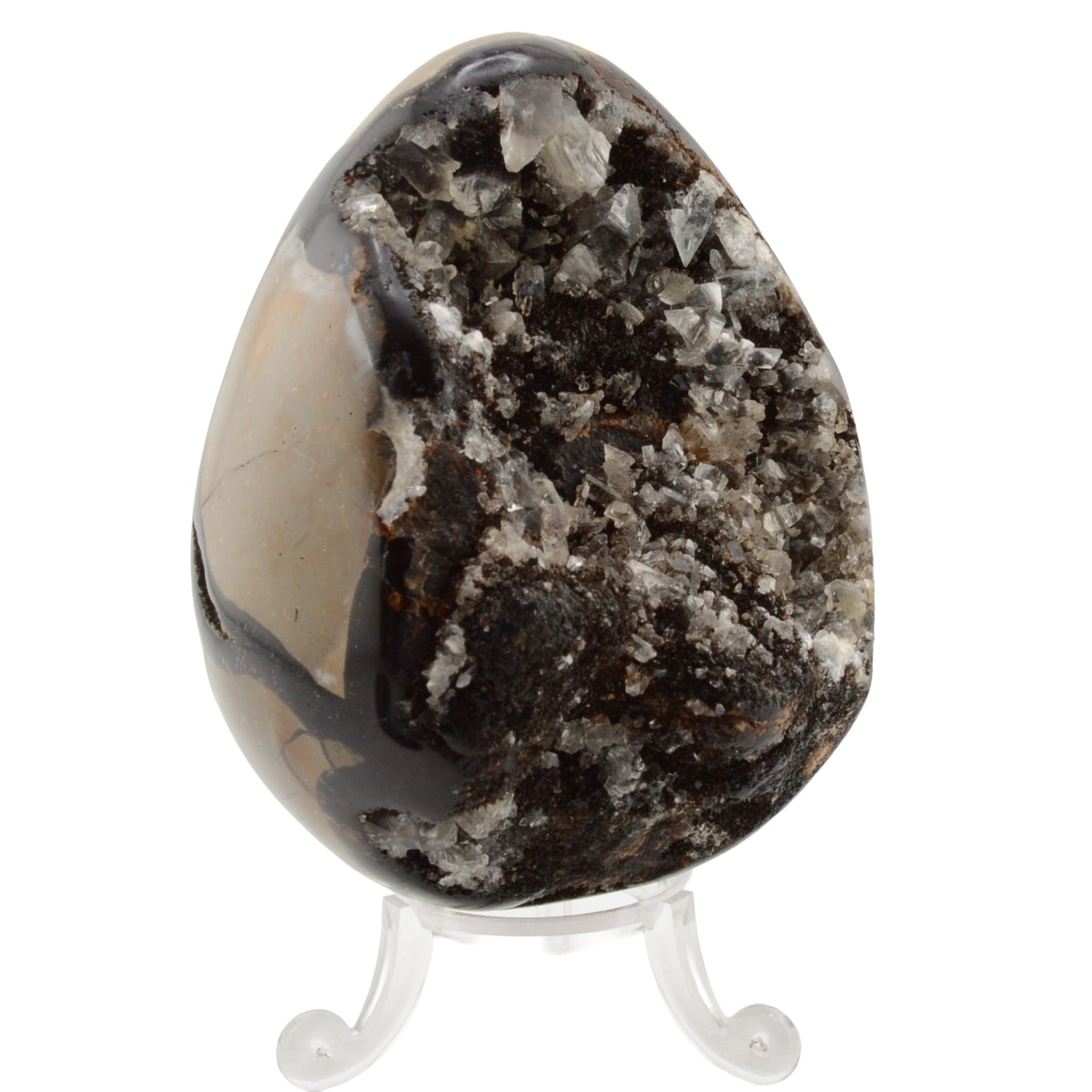 A polished septarian druzy egg crystal specimen with a dark brown and black crystalline face and a smooth beige section, displayed on a clear acrylic stand against a white background.