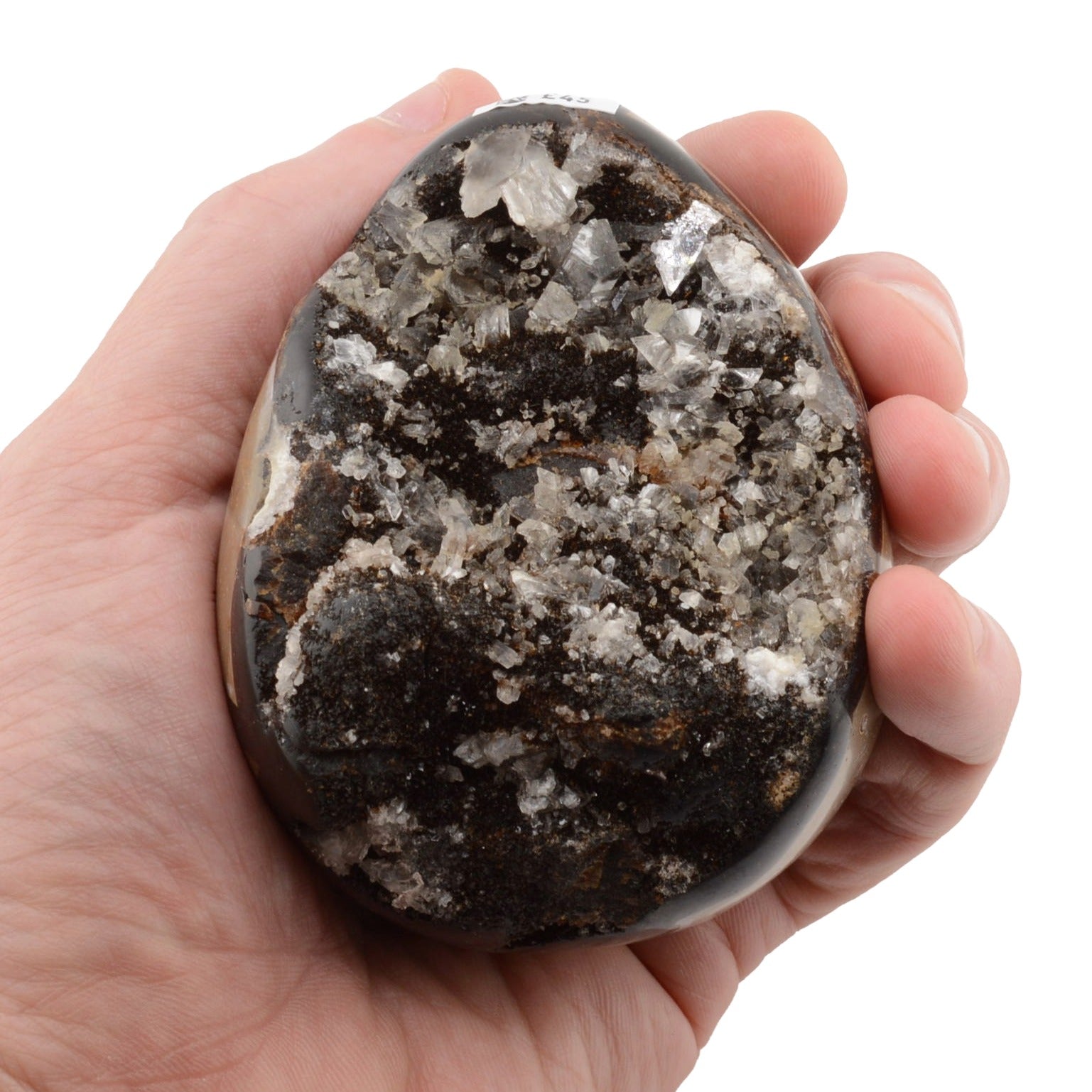A hand holding a polished natural septarian stone with dark brown and black matrix and prominent white to light gray crystalline formations, shown against a plain white background.