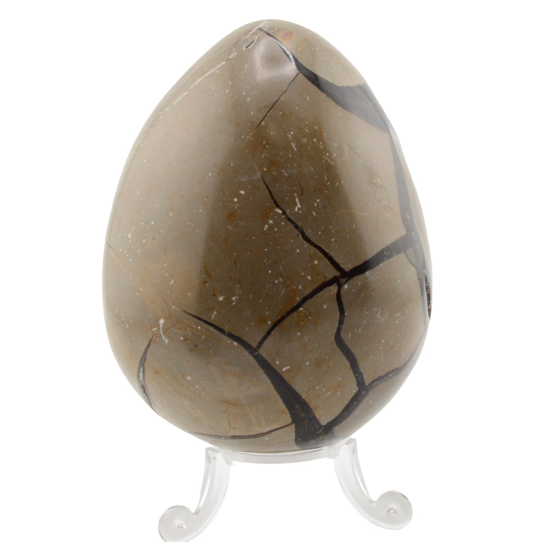 A polished septarian egg with prominent black veining, displayed on a clear acrylic stand against a white background.