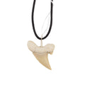 A natural shark tooth pendant necklace on a black cord, isolated on a white background.