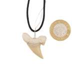 Shark Tooth Fossil Pendant Necklace