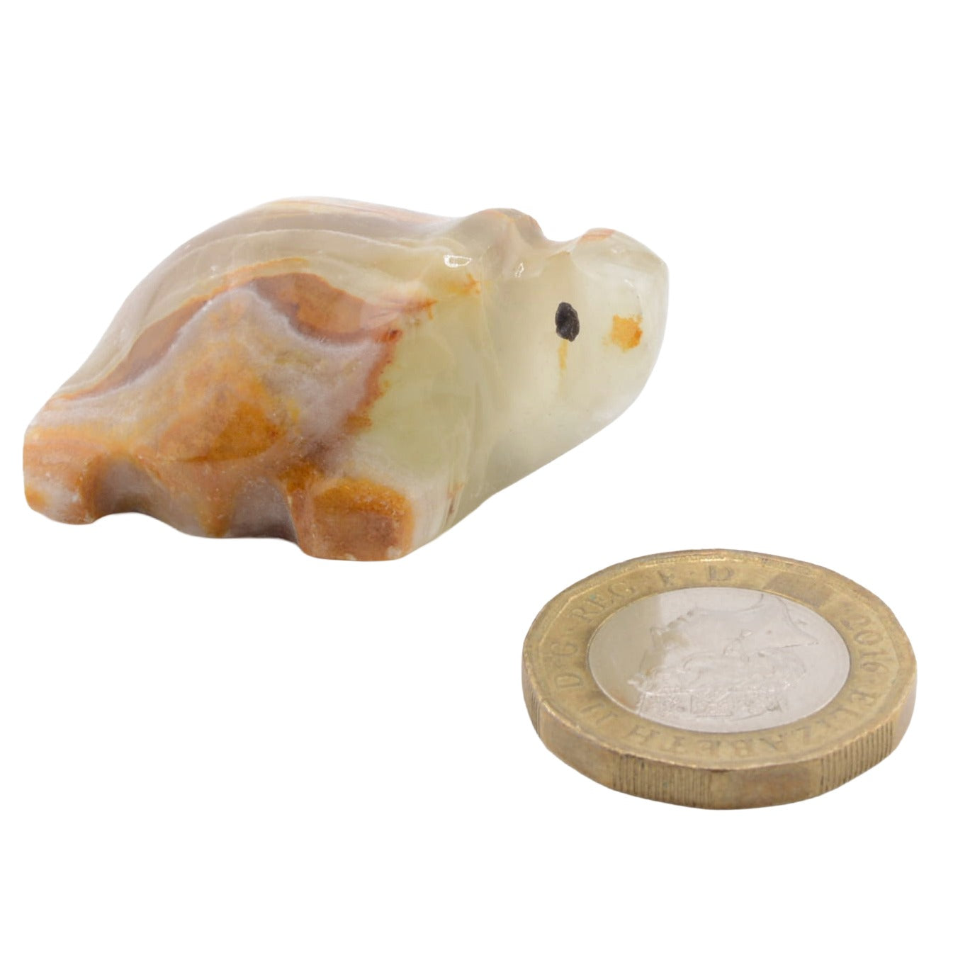 A small carved banded calcite turtle, shown next to a UK pound coin for scale on a plain white background.