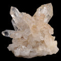 A cluster of natural quartz crystal points on an unworked matrix, showing milky white and translucent clear quartz with subtle golden-brown inclusions, set against a solid black background.