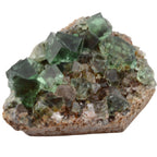 A natural fluorite crystal cluster with green and dark blue-green cuboid crystals growing on a brown and beige matrix, isolated on a white background.